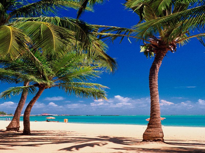 San Marino 4* Maceió